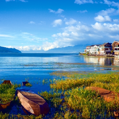 Avatar for blackhead