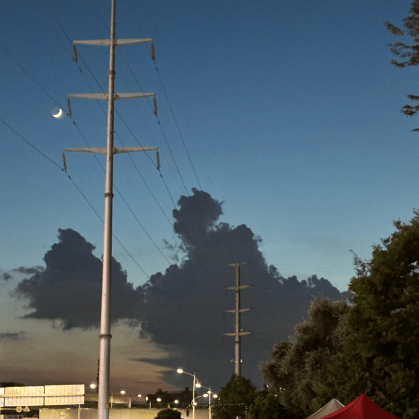 不会炒币的小鱼